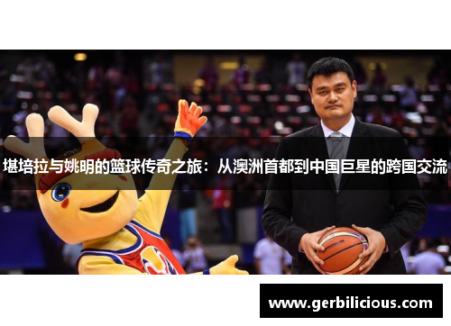堪培拉与姚明的篮球传奇之旅：从澳洲首都到中国巨星的跨国交流